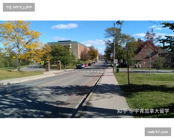 加拿大安大略省通过法案，要求所有新建社区必须包含标准冰场